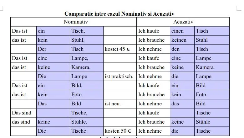 Declinarea substantivului limba germană