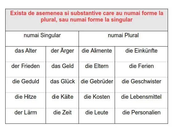 Substantivul plural limba germană