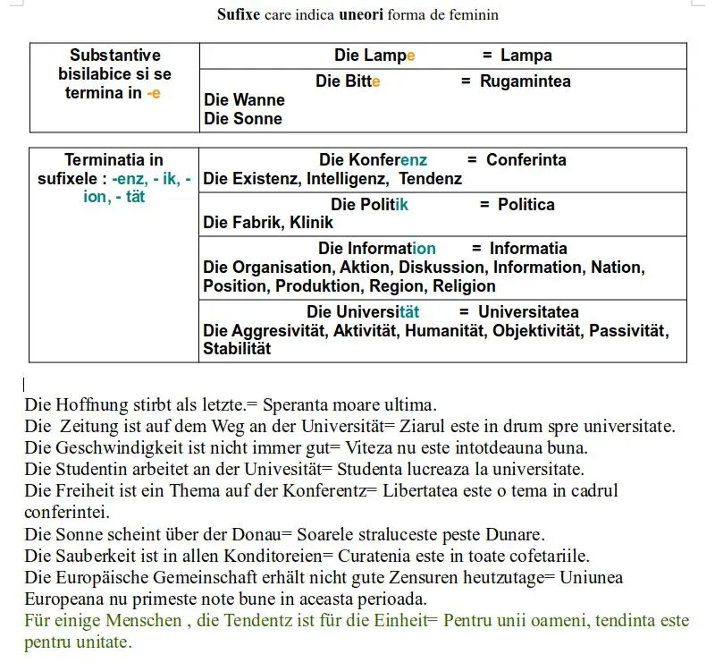 Substantivul feminin limba germană