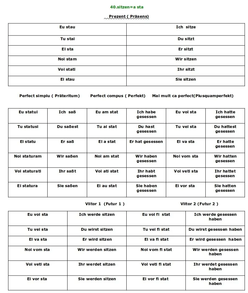 Conjugarea verbului Sitzen limba germană